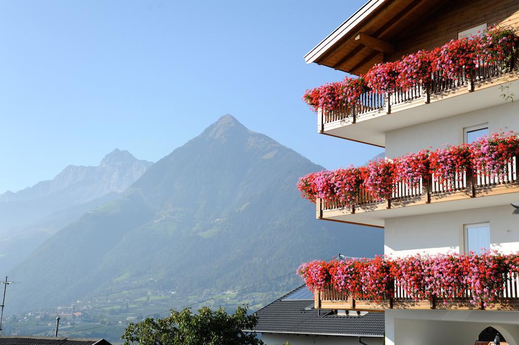 Pension Hoefler - Fernblick Scena Esterno foto